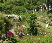 Photo of Brooklyn Botanic Garden - Brooklyn, NY - Brooklyn, NY